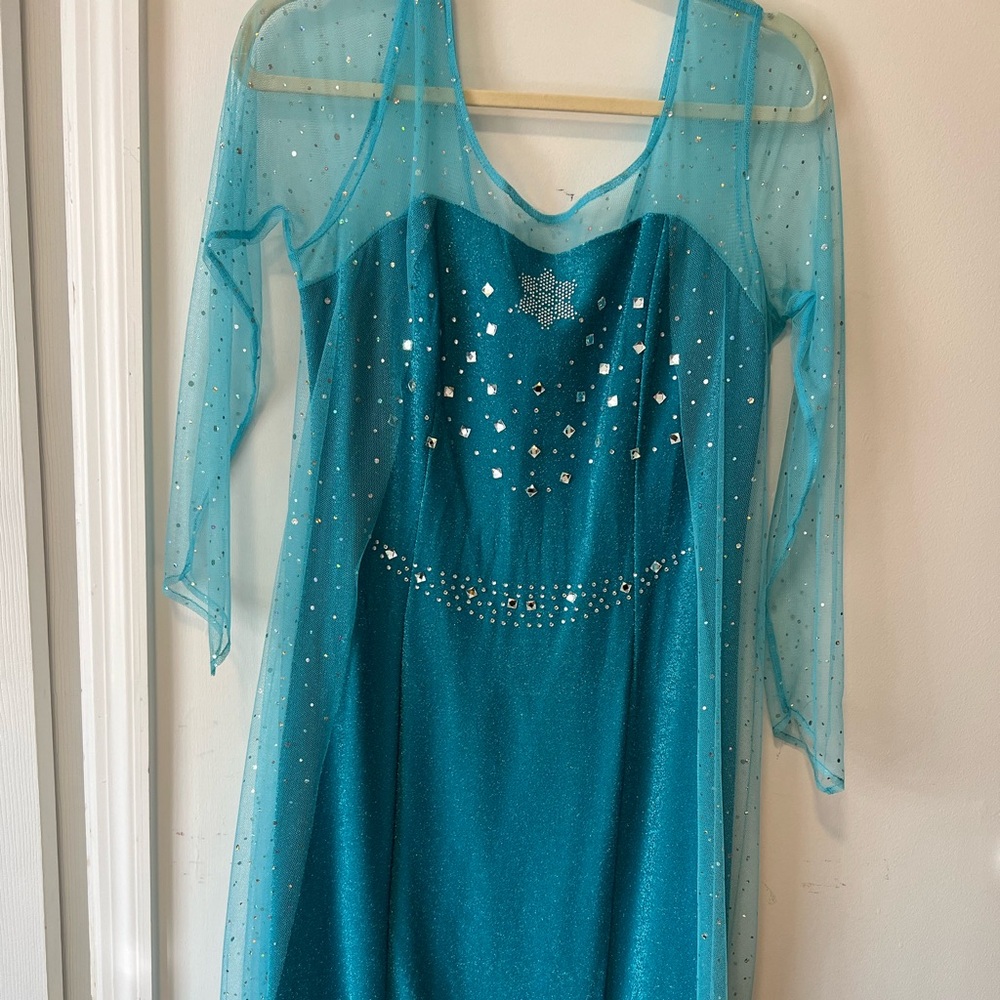 Elsa from frozen costume